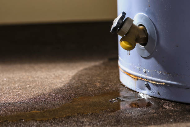 Best Flood restoration services  in Haslett, MI