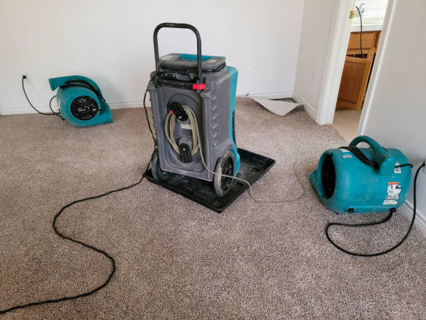 Best Water damage cleanup near me  in Haslett, MI