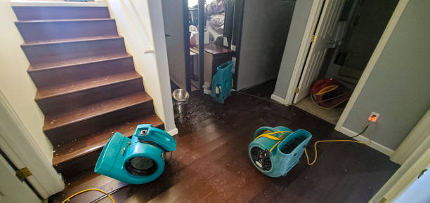 Best 24-hour water damage restoration  in Haslett, MI