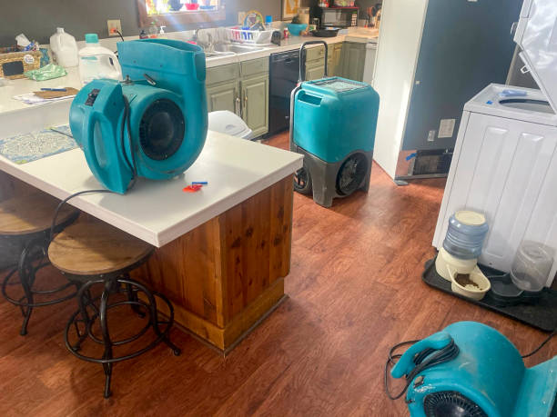 Professional Water damage restoration in Haslett, MI