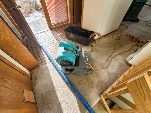 Best Professional water damage repair  in Haslett, MI