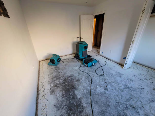 Best Carpet water damage restoration  in Haslett, MI