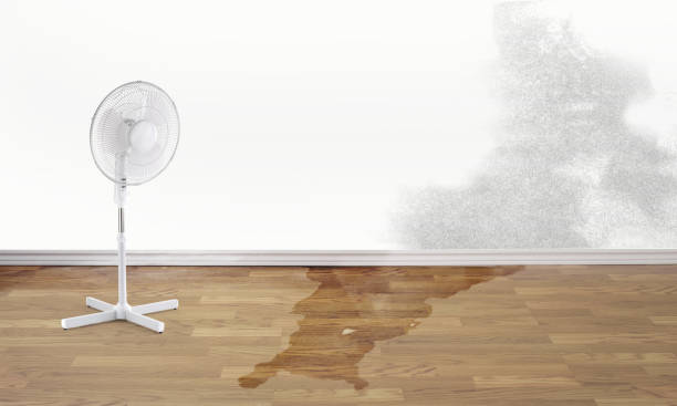 Best Residential water damage restoration  in Haslett, MI