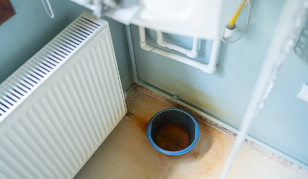 Best Ceiling water damage repair  in Haslett, MI