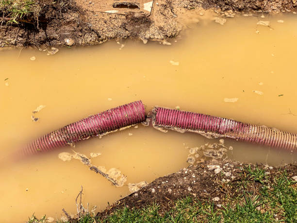 Best Water damage contractors near me  in Haslett, MI