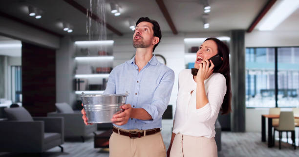 Best Water damage restoration services  in Haslett, MI